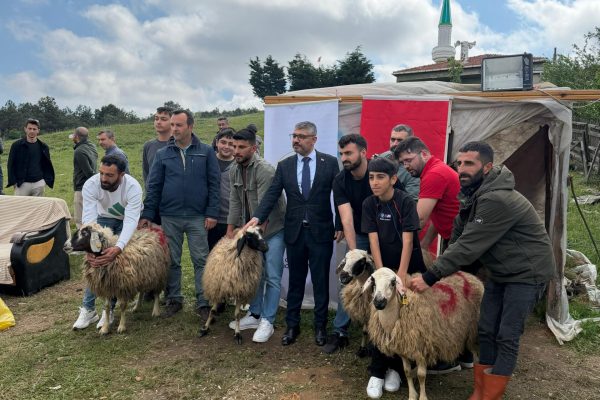 تبرعنا بالأضاحي نيابةً عن محاربينا القدامى وأسر شهدائنا خلال عيد الأضحى المبارك.